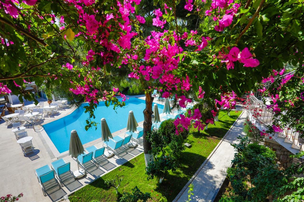 Moonshine & Otel 3*
